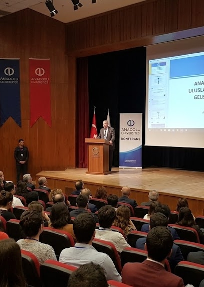 "Görüşmeler Işığında Türkçe-Rusça Yeminli Tercümanlık Alanının Güncel Durumu: Sosyopolitik ve Ekonomik Etkiler"